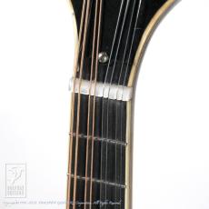 WADE FW-5 with VIRZI tone producer_10
