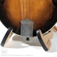 WADE FW-5 with VIRZI tone producer_11