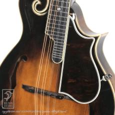 WADE FW-5 with VIRZI tone producer_12