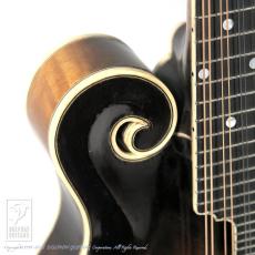 WADE FW-5 with VIRZI tone producer_13