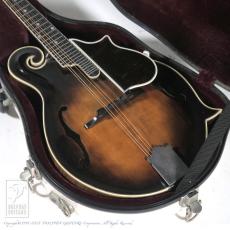 WADE FW-5 with VIRZI tone producer_15