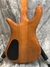 Spector EURO4 DW Amber Stain Finish_3