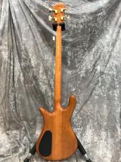Spector EURO4 DW Amber Stain Finish_7