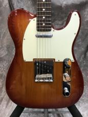 Tokai ATE-101 ITB/R_5