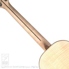Dowina ACERO-BV-SWS_6