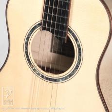 Dowina ACERO-BV-SWS_12