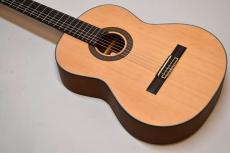 ARIA A-10【OUTLET!】