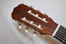 ARIA A-10【OUTLET!】_5