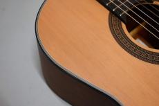 ARIA A-10【OUTLET!】_11