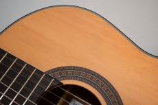 ARIA A-10【OUTLET!】_12