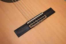 ARIA A-10【OUTLET!】_13