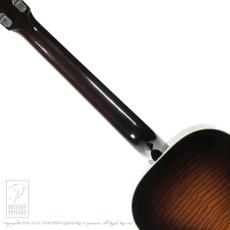 Gibson NICK LUCAS VS_6