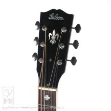 Gibson NICK LUCAS VS_7