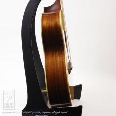 Larrivee OMV-09 Rosewood_5