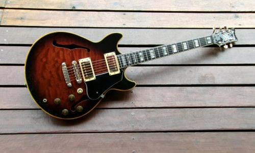 Ibanez AM-205