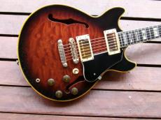 Ibanez AM-205_2