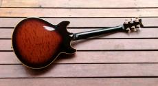 Ibanez AM-205_3