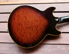 Ibanez AM-205_4
