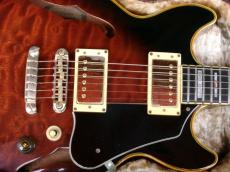 Ibanez AM-205_8
