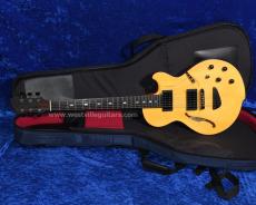 レスポール・タイプ、ホロウ/セミホロウの検索結果1～50件【楽器検索