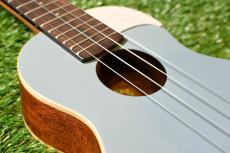 aNueNue US10 BA Soprano_11