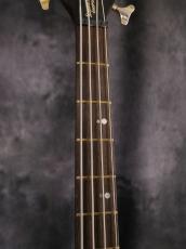Warwick 2007 Streamer LX Jazzman mod._5
