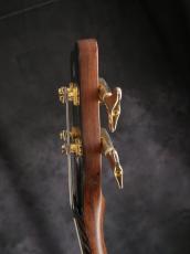 Warwick 2007 Streamer LX Jazzman mod._14