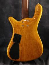 Warwick 2007 Streamer LX Jazzman mod._15