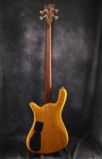 Warwick 2007 Streamer LX Jazzman mod._16