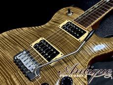 David Thomas McNaught B.U.G. Custom Order Vintage Singlecut Trem Chambered 2003 Safari /Diamond Grade Figured Maple Top & Matching-Head w/Brazilian Rosewood FB 4.19kg Dead-Stock Mint "One-Off Special Spec"_7