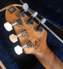 PEAVEY Wolfgang Black 1997年製_3