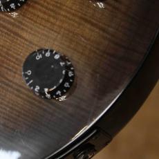 Epiphone Limited Edition Les Paul Standard_6