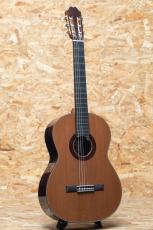 ASTURIAS DOUBLE SIDES LTD_3