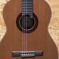 ASTURIAS DOUBLE SIDES LTD_10