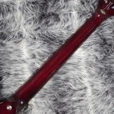 Epiphone Noel Gallagher Riviera Dark Wine Red_8