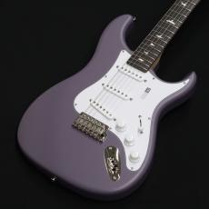 Paul Reed Smith [PRS] SILVER SKY Rosewood  Black Plum Satin 【NEWカラー】