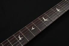 Paul Reed Smith [PRS] SILVER SKY  Rosewood Mojave Brown Satin 【NEWカラー】_6