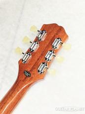 Epiphone Les Paul Standard 50s Plain Top -Goldtop-【25101520512】【4.04kg】_6