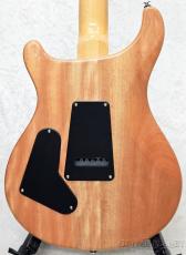 Paul Reed Smith [PRS] SE Custom 24 -Blue Matteo-【2025年製】【CTI H027376】【3.44kg】_3