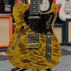 テレキャスター・タイプ、ハカランダの検索結果1～17件【楽器検索｜J