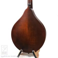 Eastman MD-305_4