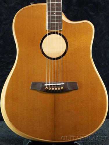 L.R.Baggs AEG-1 TOR(トリファイド・シトカ・スプルース)【オンラインストア限定】