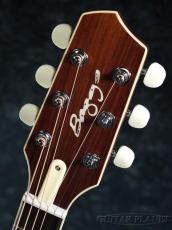 L.R.Baggs AEG-1 TOR(トリファイド・シトカ・スプルース)【オンラインストア限定】_5