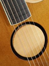 L.R.Baggs AEG-1 TOR(トリファイド・シトカ・スプルース)【オンラインストア限定】_7