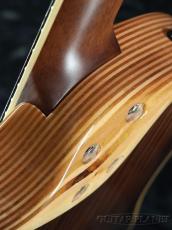 L.R.Baggs AEG-1 TOR(トリファイド・シトカ・スプルース)【オンラインストア限定】_9