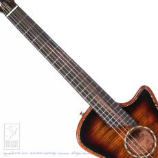 Bromo Guitars BEN2C 3ts (3 Tone Sunburst)_5