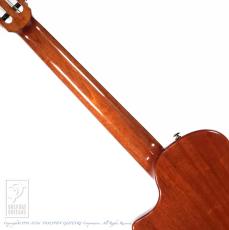 Bromo Guitars BEN2C 3ts (3 Tone Sunburst)_6