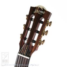 Bromo Guitars BEN2C 3ts (3 Tone Sunburst)_7