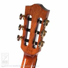 Bromo Guitars BEN2C 3ts (3 Tone Sunburst)_8