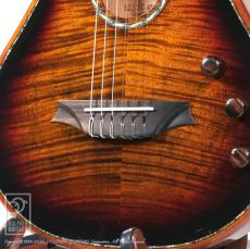 Bromo Guitars BEN2C 3ts (3 Tone Sunburst)_11